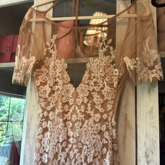 Elegant Lace Evening Gown - Picture 3 of 4